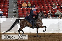 10buck_0277 proof