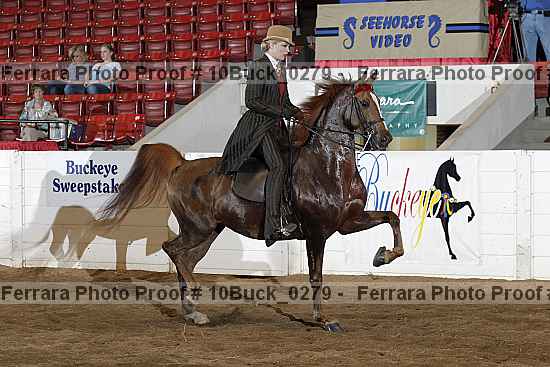 Proof 10buck_0279
