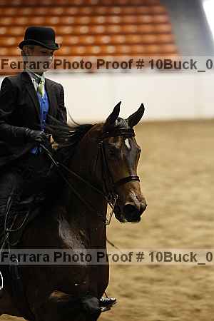 Proof 10buck_0286