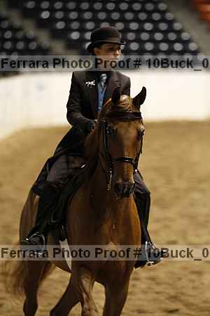 Proof 10buck_0290