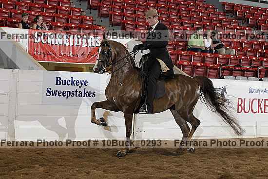 Proof 10buck_0293