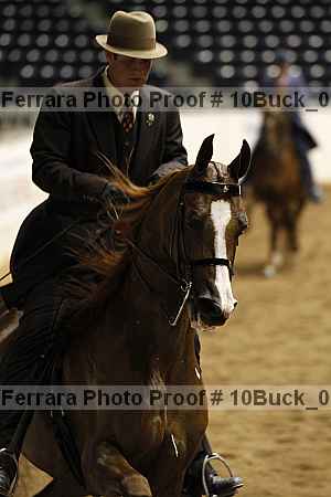 Proof 10buck_0294