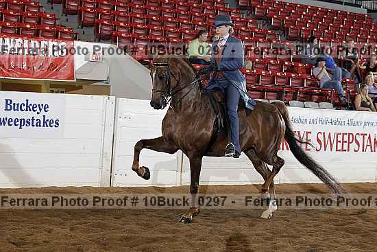 Proof 10buck_0297