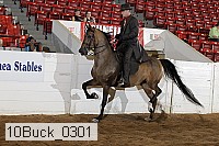 10buck_0301 proof