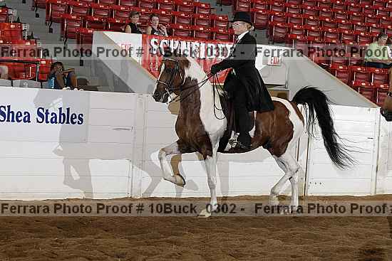 Proof 10buck_0302