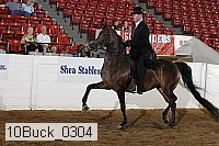 10buck_0304 proof