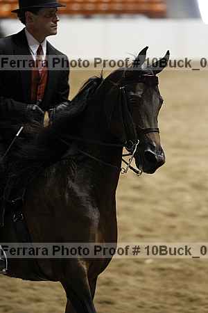 Proof 10buck_0305