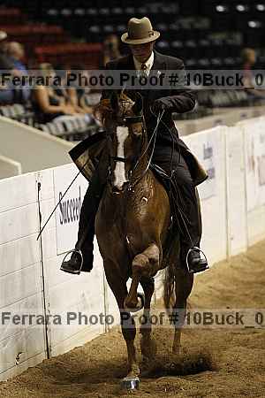 Proof 10buck_0307