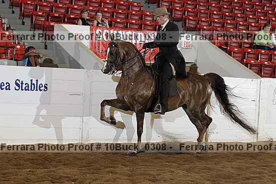 Proof 10buck_0308