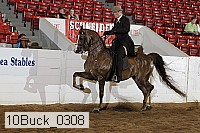 10buck_0308 proof