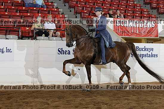 Proof 10buck_0309