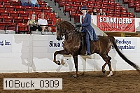 10buck_0309 proof