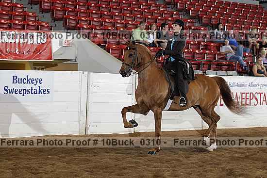 Proof 10buck_0310