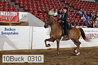 10buck_0310 proof