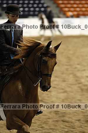 Proof 10buck_0311