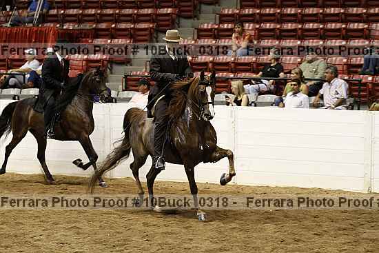 Proof 10buck_0318