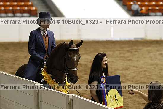 Proof 10buck_0323