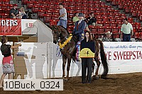 10buck_0324 proof