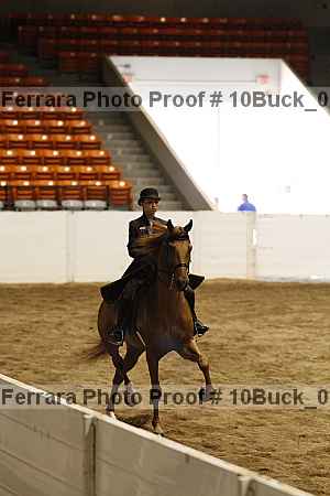 Proof 10buck_0325