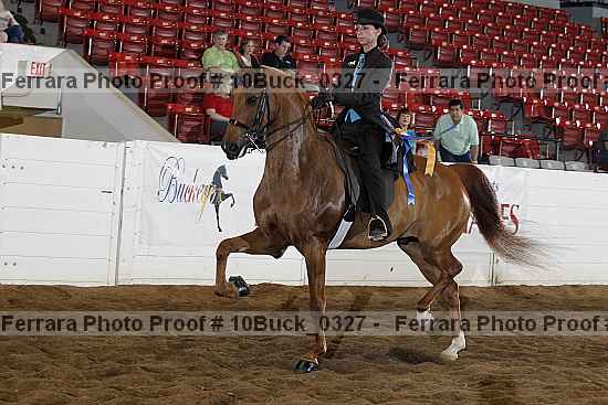 Proof 10buck_0327