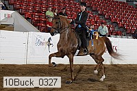 10buck_0327 proof