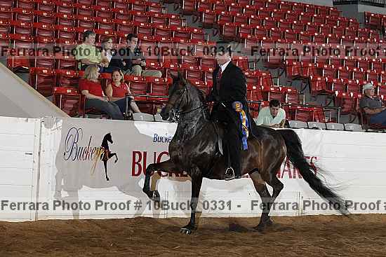 Proof 10buck_0331