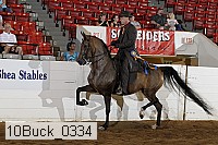 10buck_0334 proof
