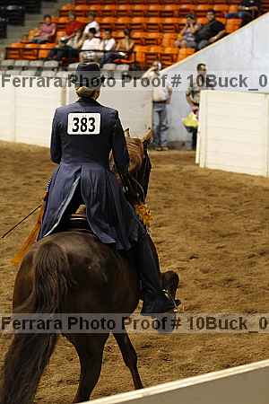 Proof 10buck_0343