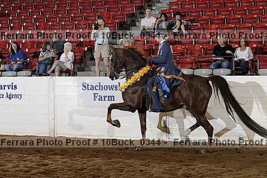 Proof 10buck_0344
