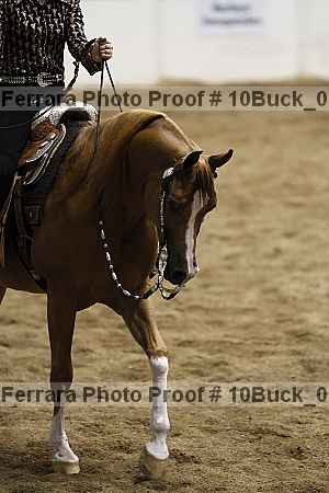 Proof 10buck_0351