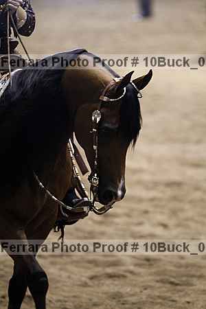Proof 10buck_0356