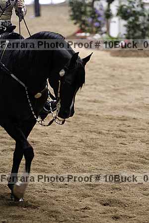 Proof 10buck_0360