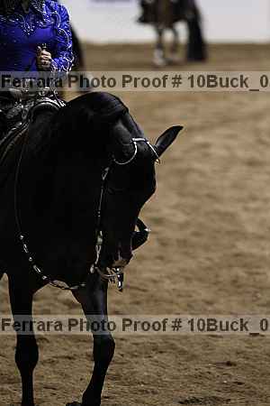Proof 10buck_0367