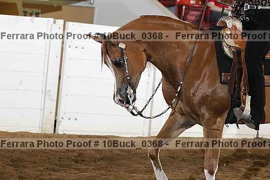 Proof 10buck_0368