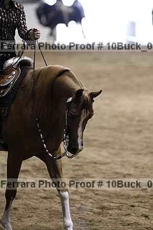 Proof 10buck_0371