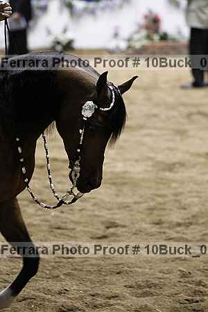Proof 10buck_0375