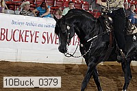10buck_0379 proof