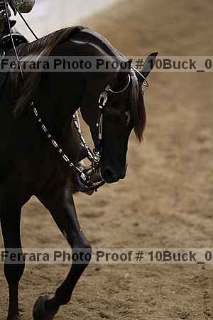 Proof 10buck_0380