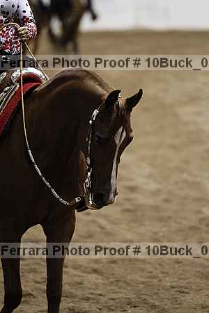 Proof 10buck_0384