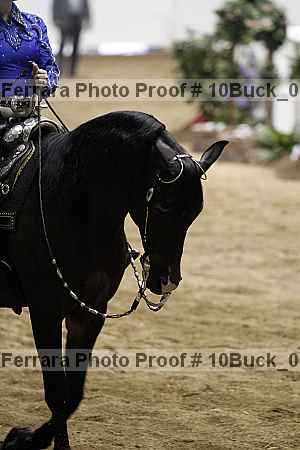 Proof 10buck_0386