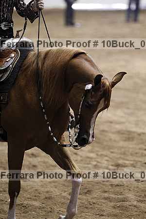 Proof 10buck_0387