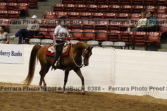 Proof 10buck_0388