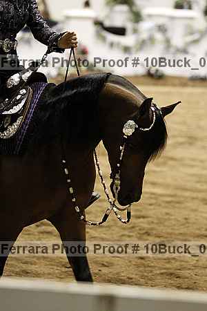 Proof 10buck_0390