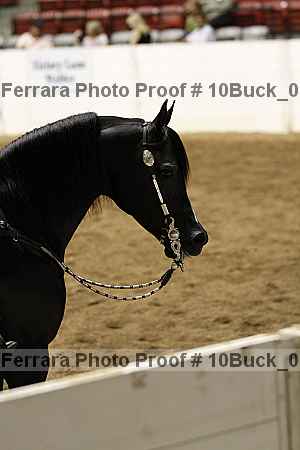 Proof 10buck_0398