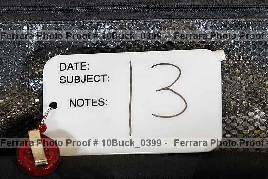 Proof 10buck_0399