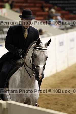 Proof 10buck_0403