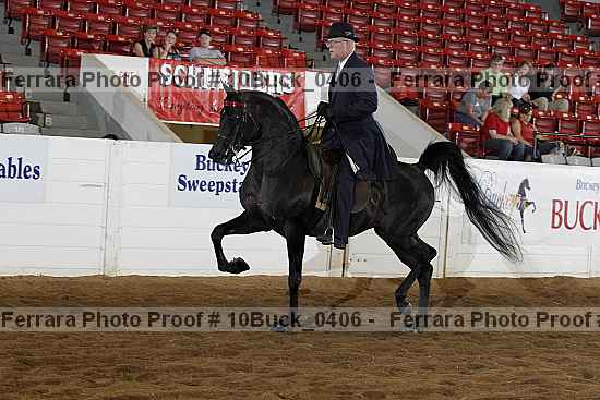 Proof 10buck_0406