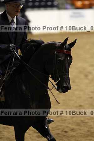 Proof 10buck_0407