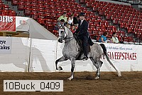 10buck_0409 proof