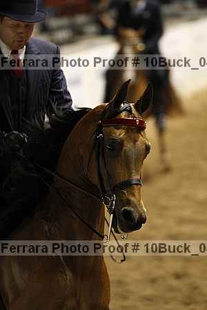 Proof 10buck_0413